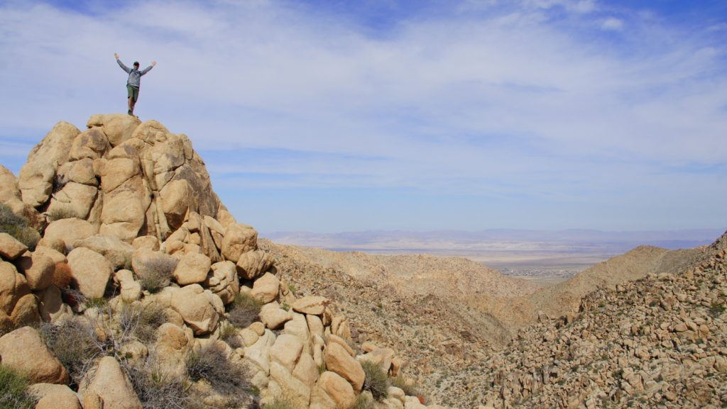 Five miles into the Boy Scout Trail looking north out of Joshua Tree.