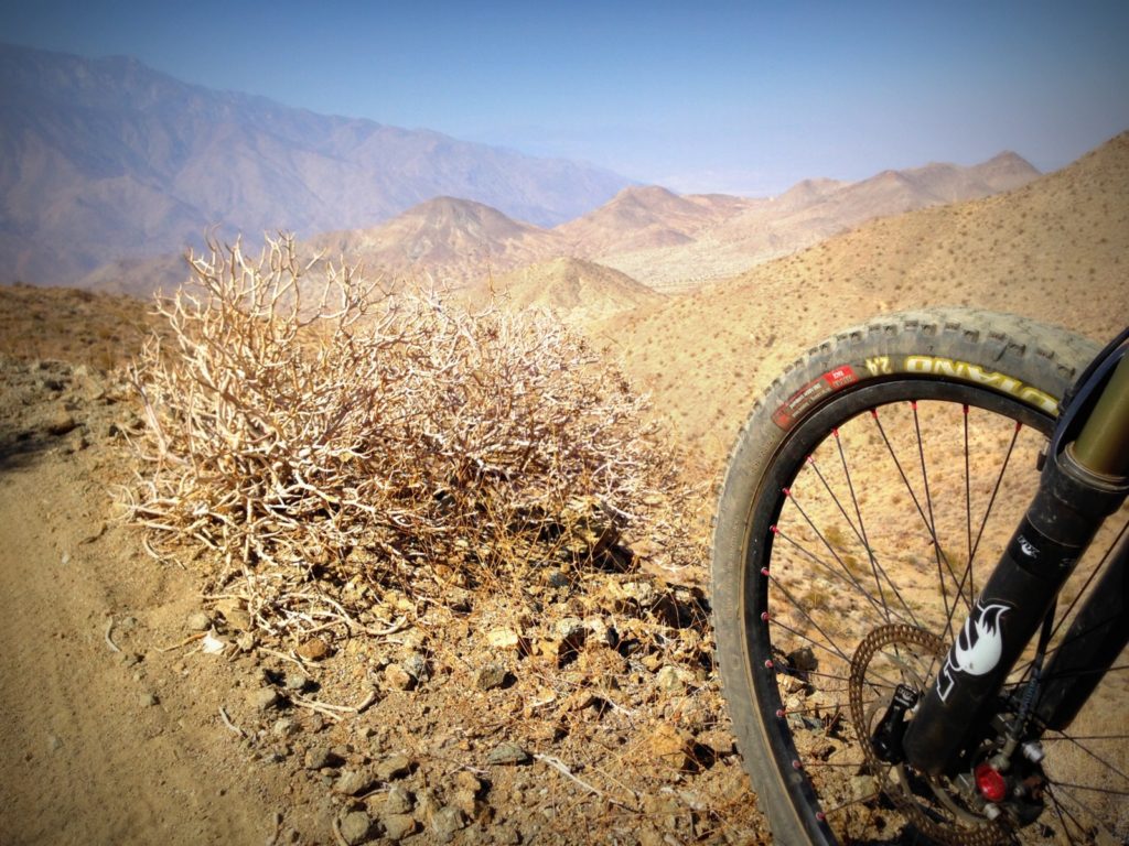 Halfway through the 30 mile Palm Canyon epic - desert single track for hours!