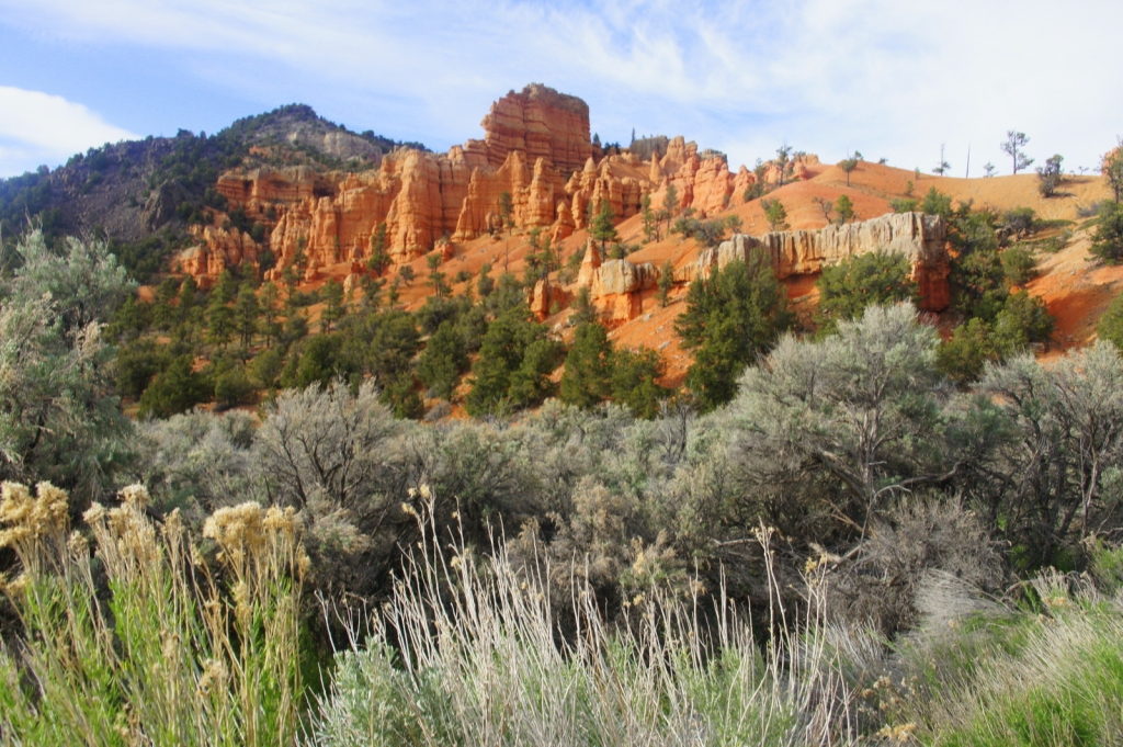 Just west of Bryce Canyon is Dixie and the Red Canyon, an amazing playground stuffed full of hoodoos and great trails.