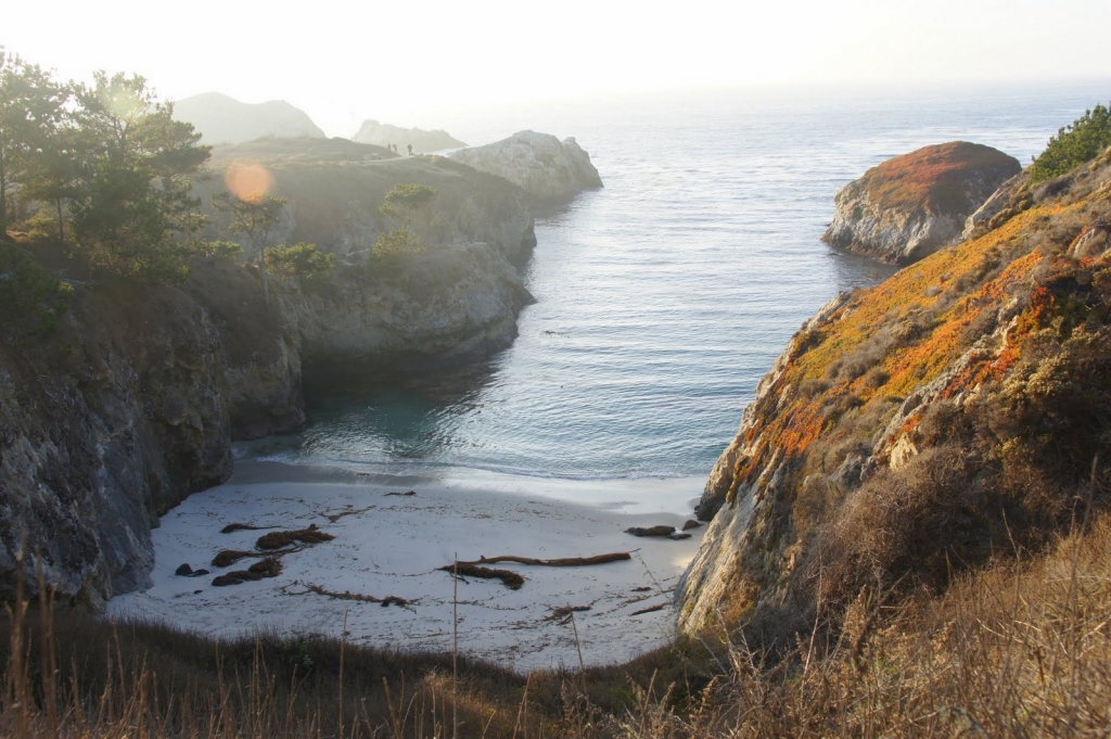 A cozy bay in Point Lobos.