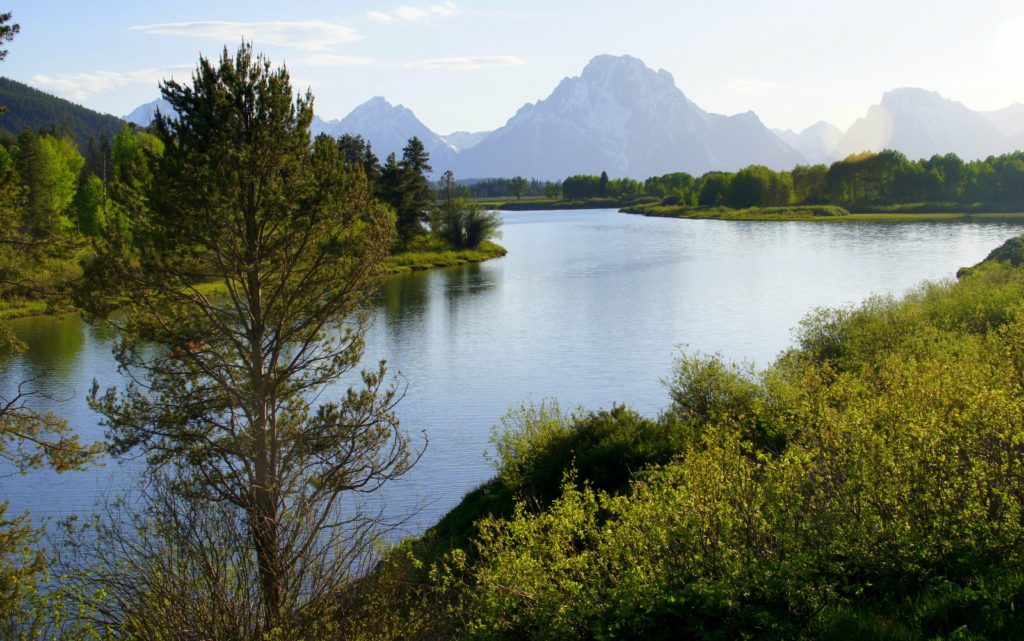 A slow-moving section through Grand Teton NP where all the animals congregate.
