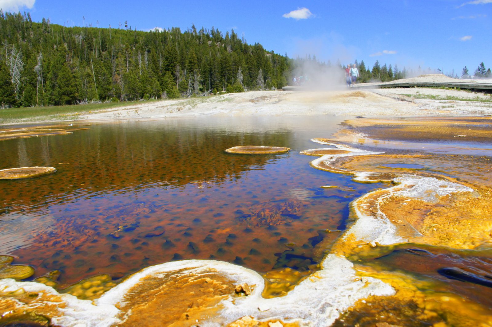 Bubbling pools of hot water and the colorful algae that live on them.