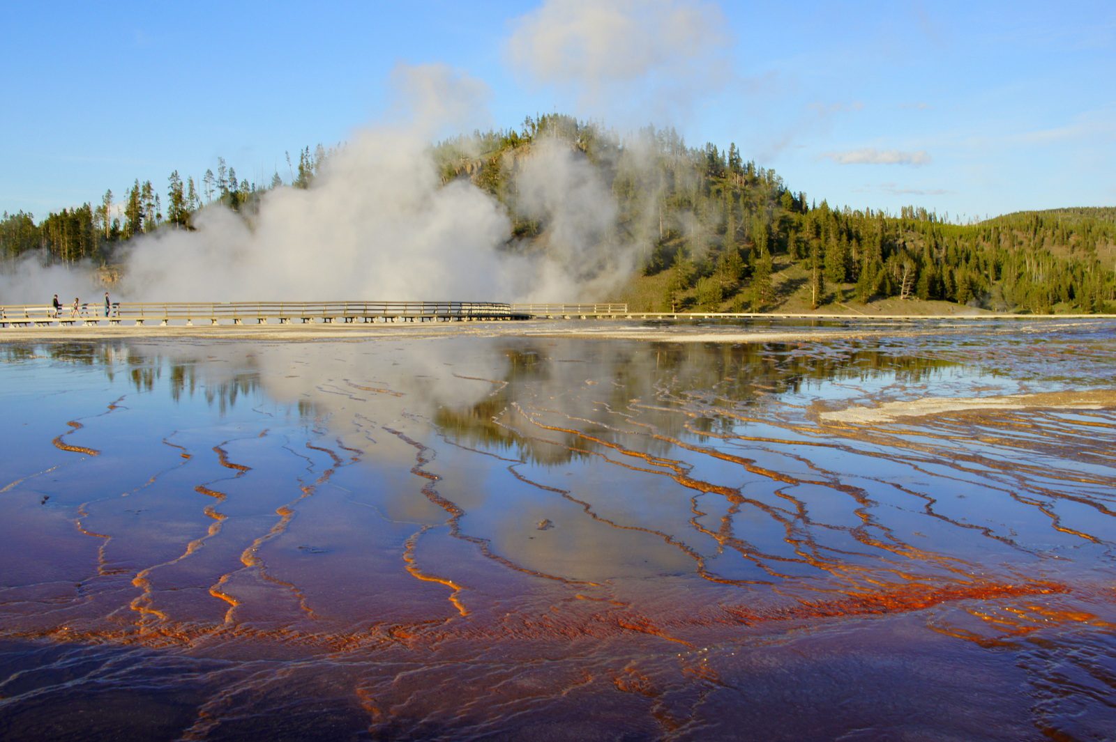 Algae brighten up a geyser pool in Yellowstone.