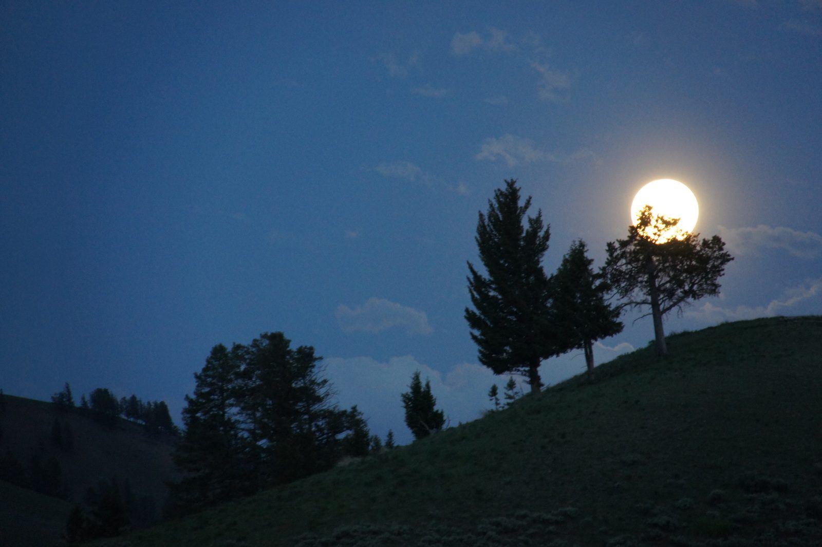 A full moon rises over Yellowstone.