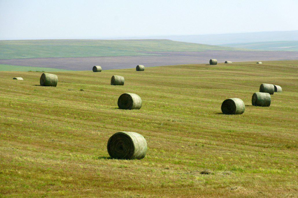 Thousands of hay bales are scattered across fields this time of year. We have yet to sleep in one of them...