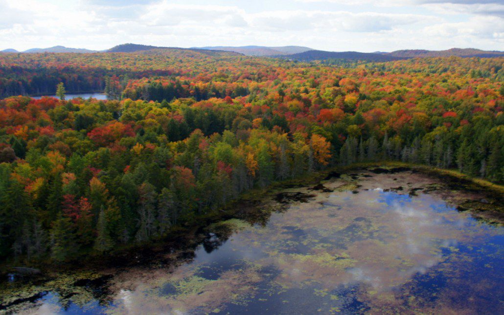 Lake and fall colors reflected.
