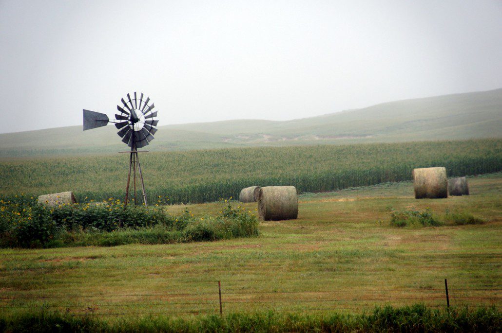 Foggy morning in Nebraska in the corn fields.