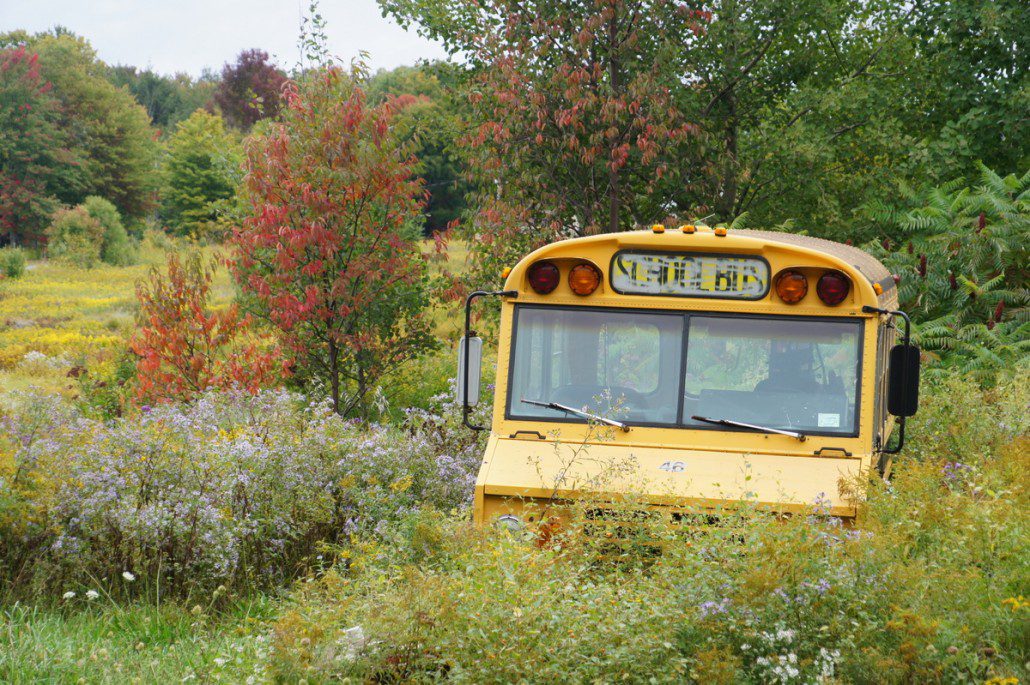 I found this funny - a short bus hiding out in the Tug Hill Wilderness in the middle of nowhere New York.