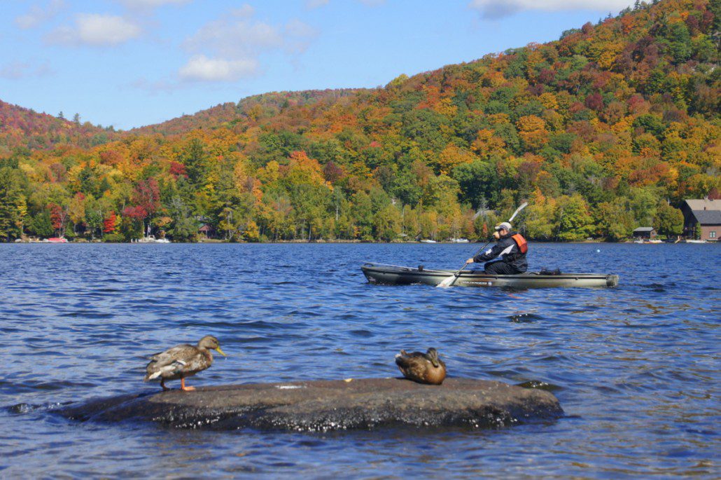 Ducks preen and watch a kayaker on Blue Mountain Lake.