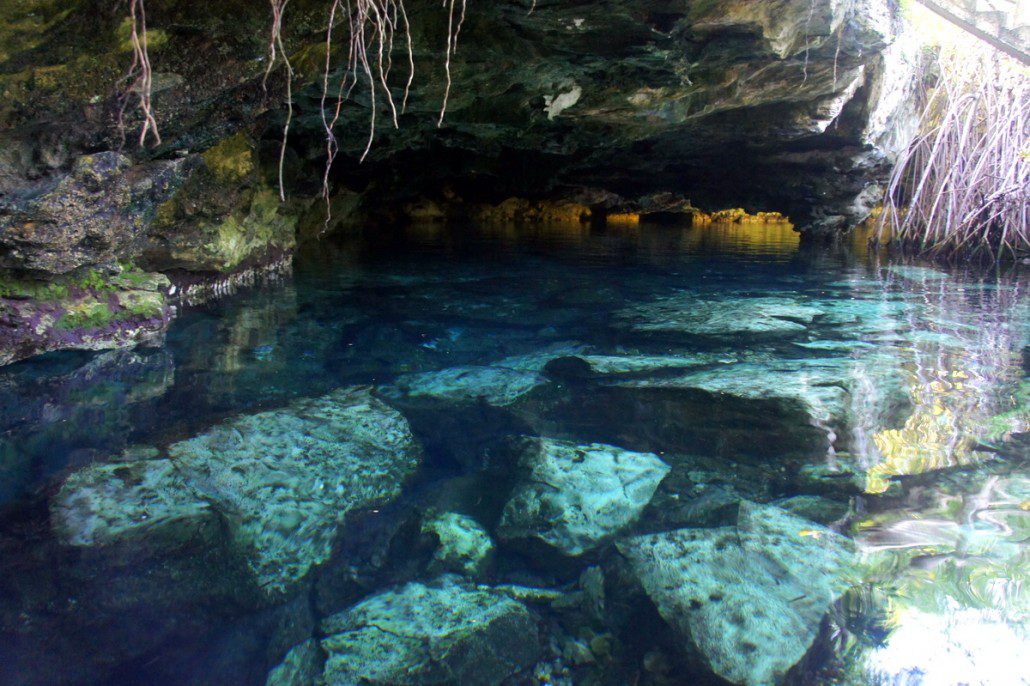 A cenote near Tulum. Limestone erodes away and leaves caves you can swim around in. So fun.