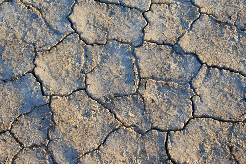Cracked Alvord Desert