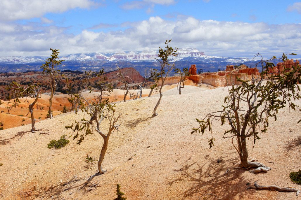 Hiking in Bryce Canyon.