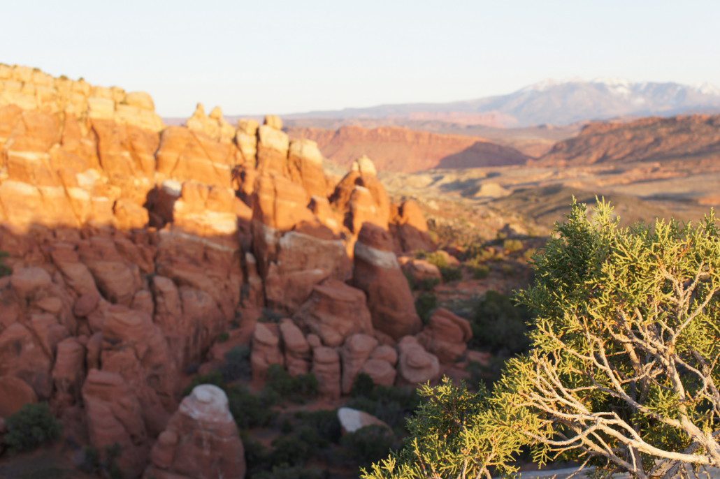 Fiery Furnace in Arches NP