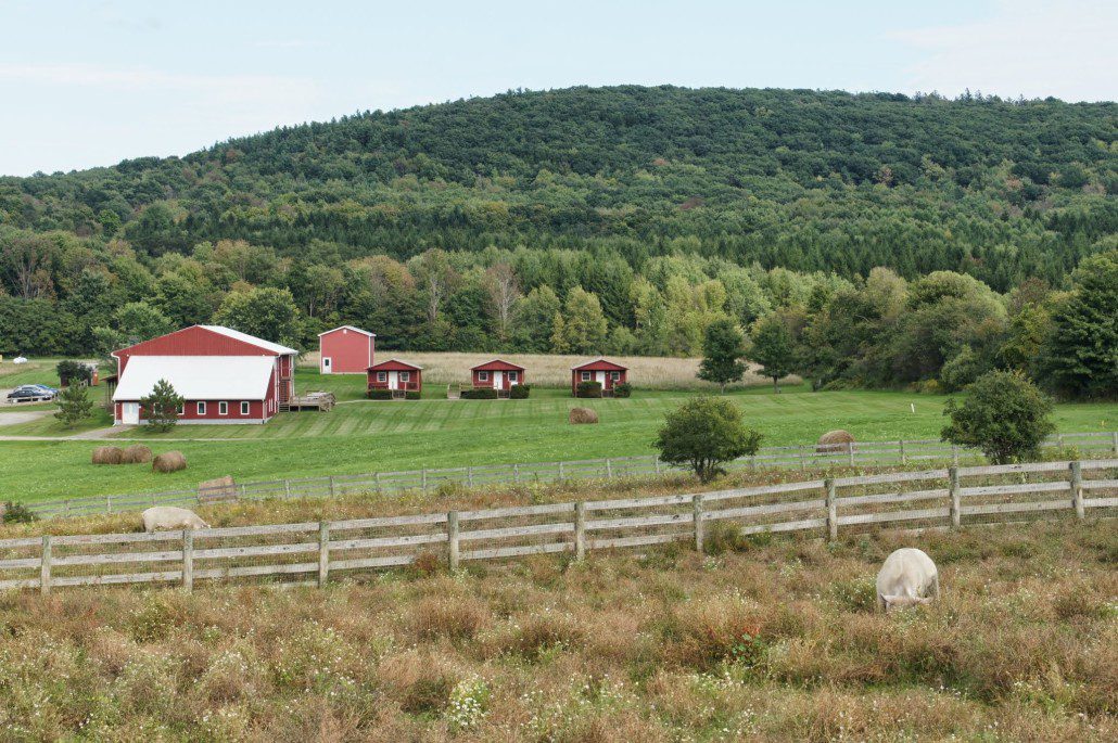 Farm Sanctuary vista