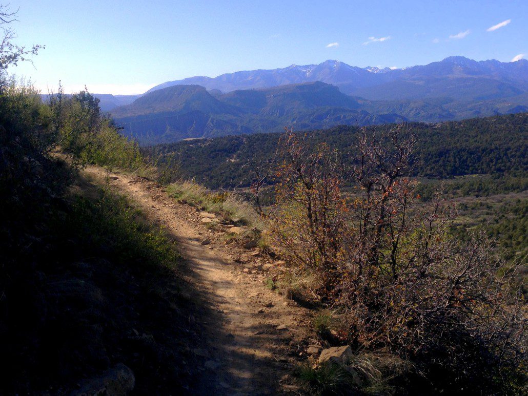 Telegraph Trails in Durango