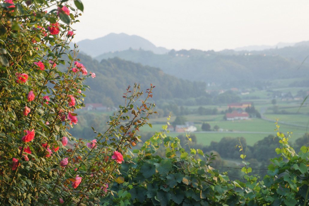 Slovenian valley
