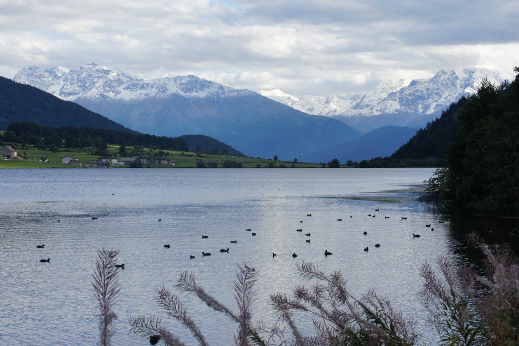 A view of the Alps across Lake Resia.