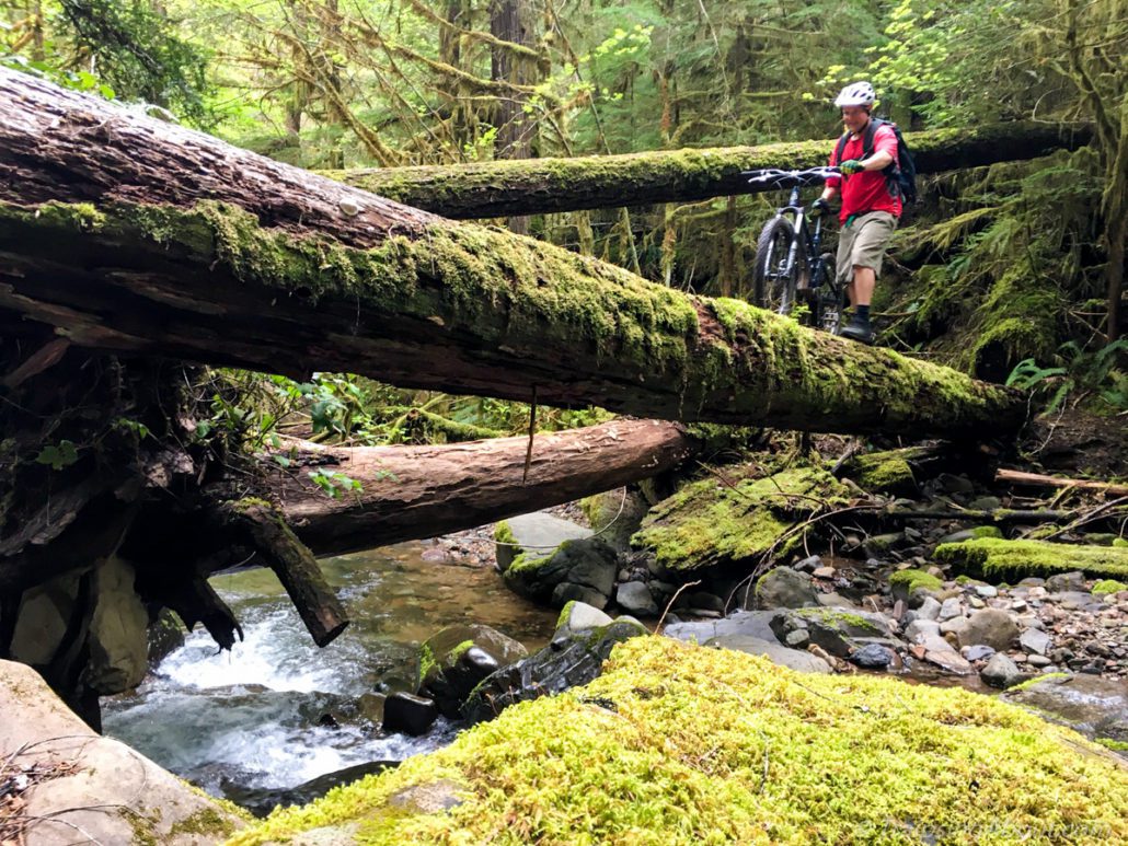 Ricky wisely chooses to walk, not ride, mossy logs on Larison Creek