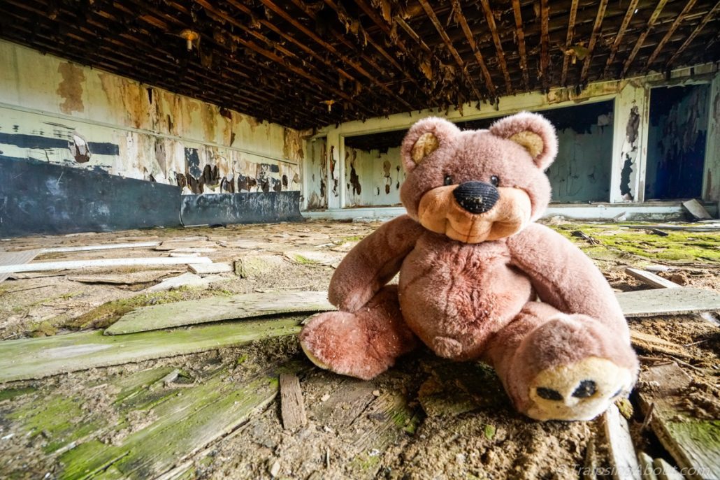 I found this random bear in an abandoned house on my drive from Portland to Idaho. Sadly, he didn't make the gear cut.