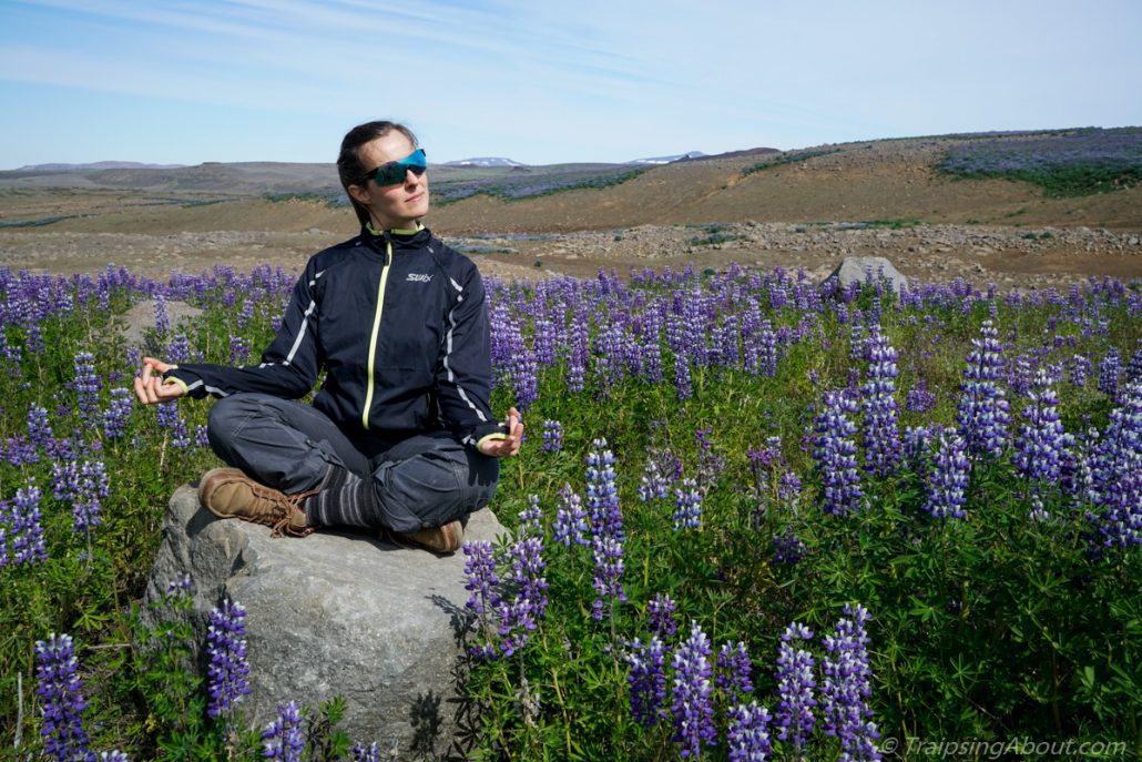 No, of COURSE this photo isn't staged. We always meditate in a sea of lupin... 