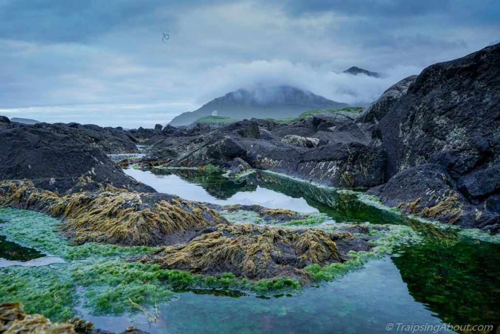 Misty evening over a nature preserve in the eastern fjords of Iceland. We wild camped a few feet from here.