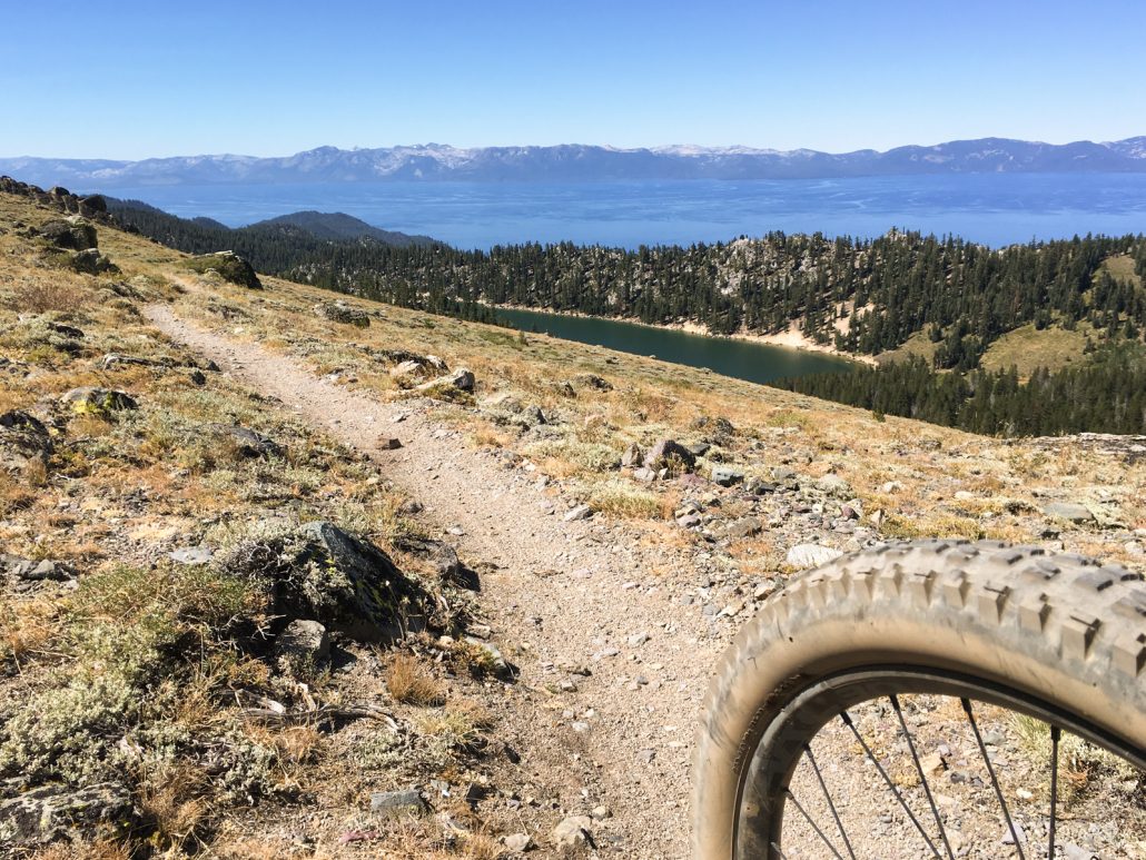 My Favorite Lake Tahoe Mountain Biking Trails Traipsing About